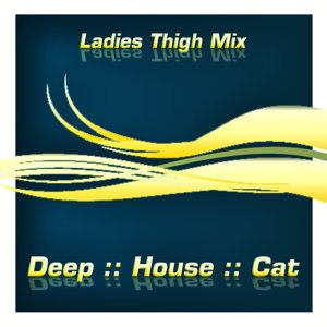 [image_2008_08_ladies_thigh_mix.jpg]