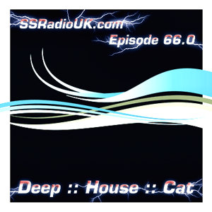 [DeepHouseCat_2009_1230_300_300.jpg]