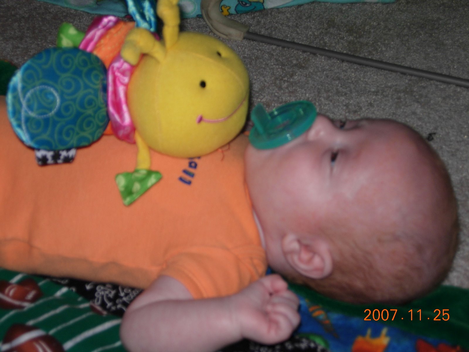 [DSCN0453.JPG]