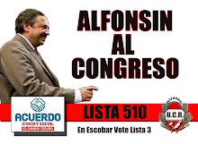 Alfonsin al Congreso Nacional