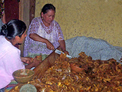 Comida Tipica de la Región