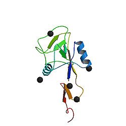 [250px-PBB_Protein_SELE_image.jpg]