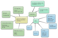 Corticosteroid potency classification