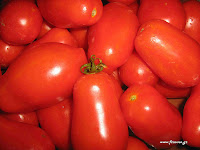 Ντομάτα σπορά φύτεμα καλλιέργεια  Roma+tomatoes-close
