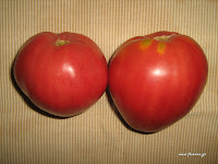 Ντομάτα σπορά φύτεμα καλλιέργεια  Tomato+Oxheart-Fruits+2