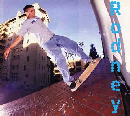 The mutt book picture