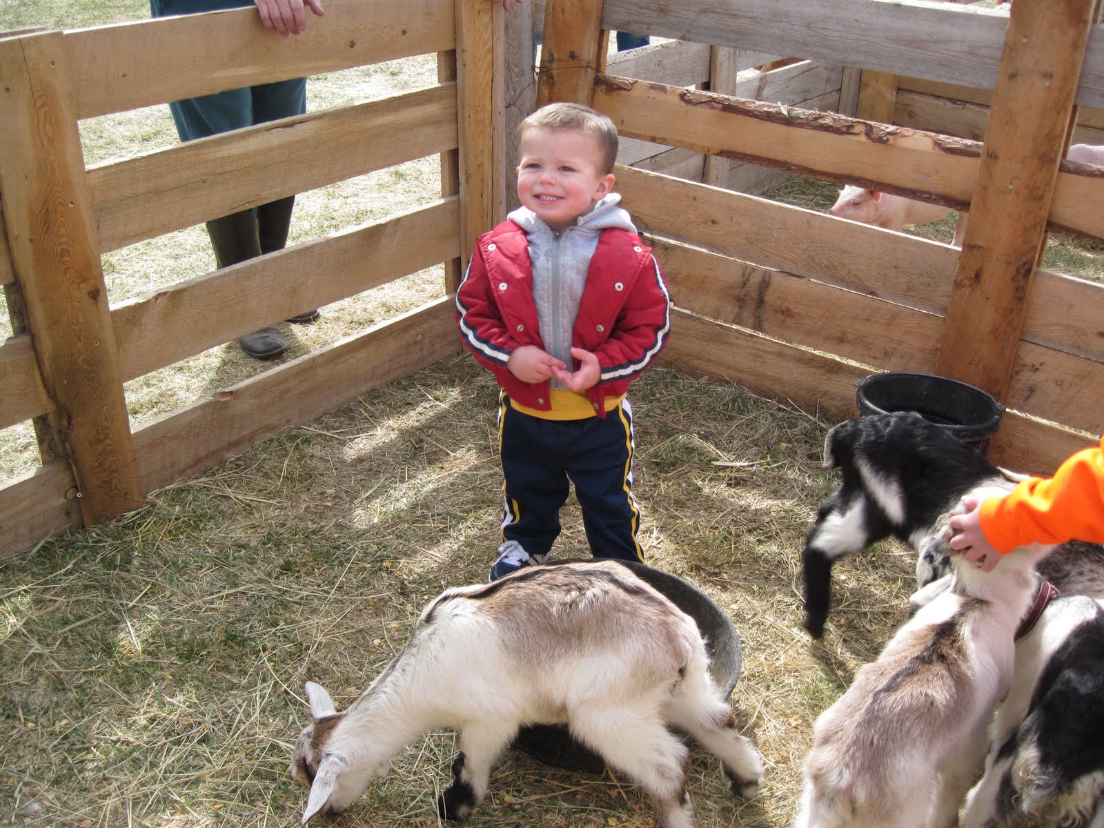 KATY, ROB, KADEN, AND CARSON Baby Animal Days in Logan