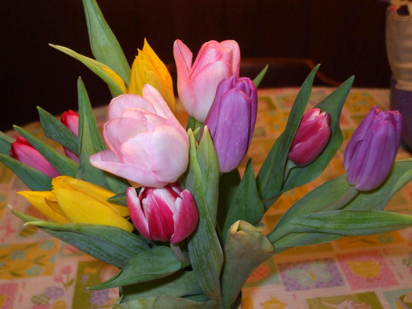 [2009+Bday+Tulips+from+Chelsea+2.jpg]