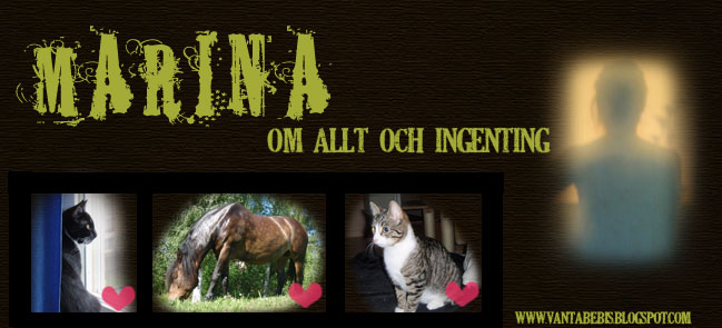 Marina- om Allt & Inget