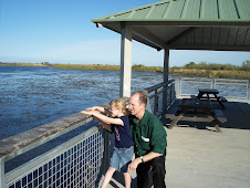 Grandpa and Sam throw rocks off the pier
