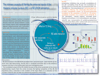 Neuroscience Posters