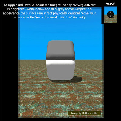 grey square illusion