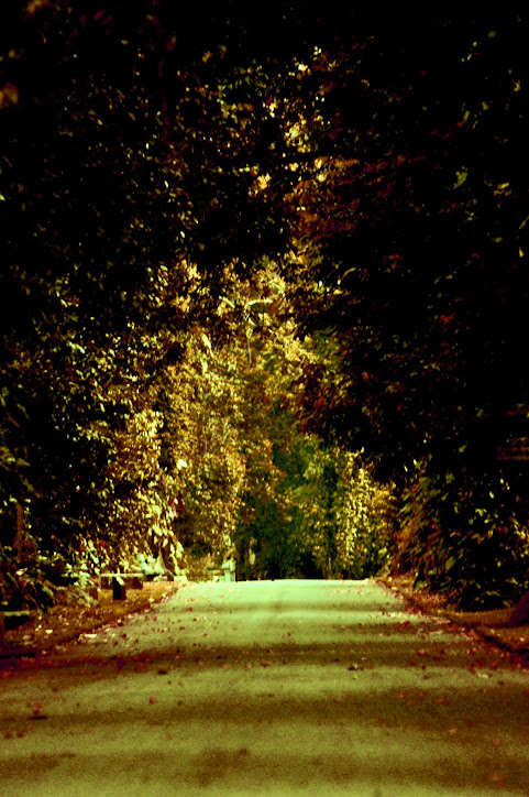 Bogor Botanical Garden