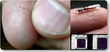 [micro.gif]