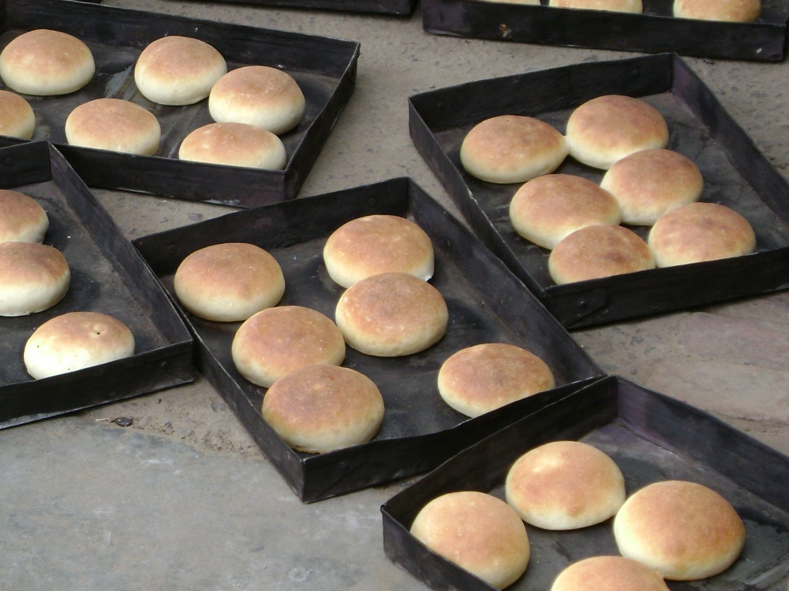 [freshly+baked+buns,+31st+july+2008+(1).jpg]
