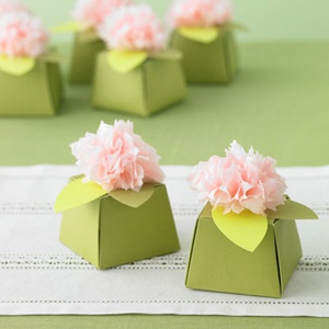 [tissue-paper-flower-favor-box-kit.jpg]