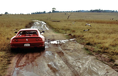 [Ferrrai+F355+boue.jpg]