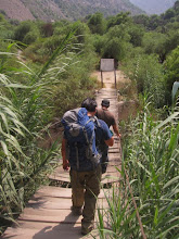 Puente Colgante