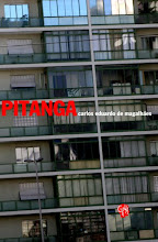 Pitanga, livro de Carlos Eduardo de Magalhães