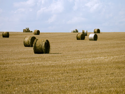 Tracteurs en activité - Leuze-en-Hainaut - Belgique - Anne-Sarine Limpens - 2008