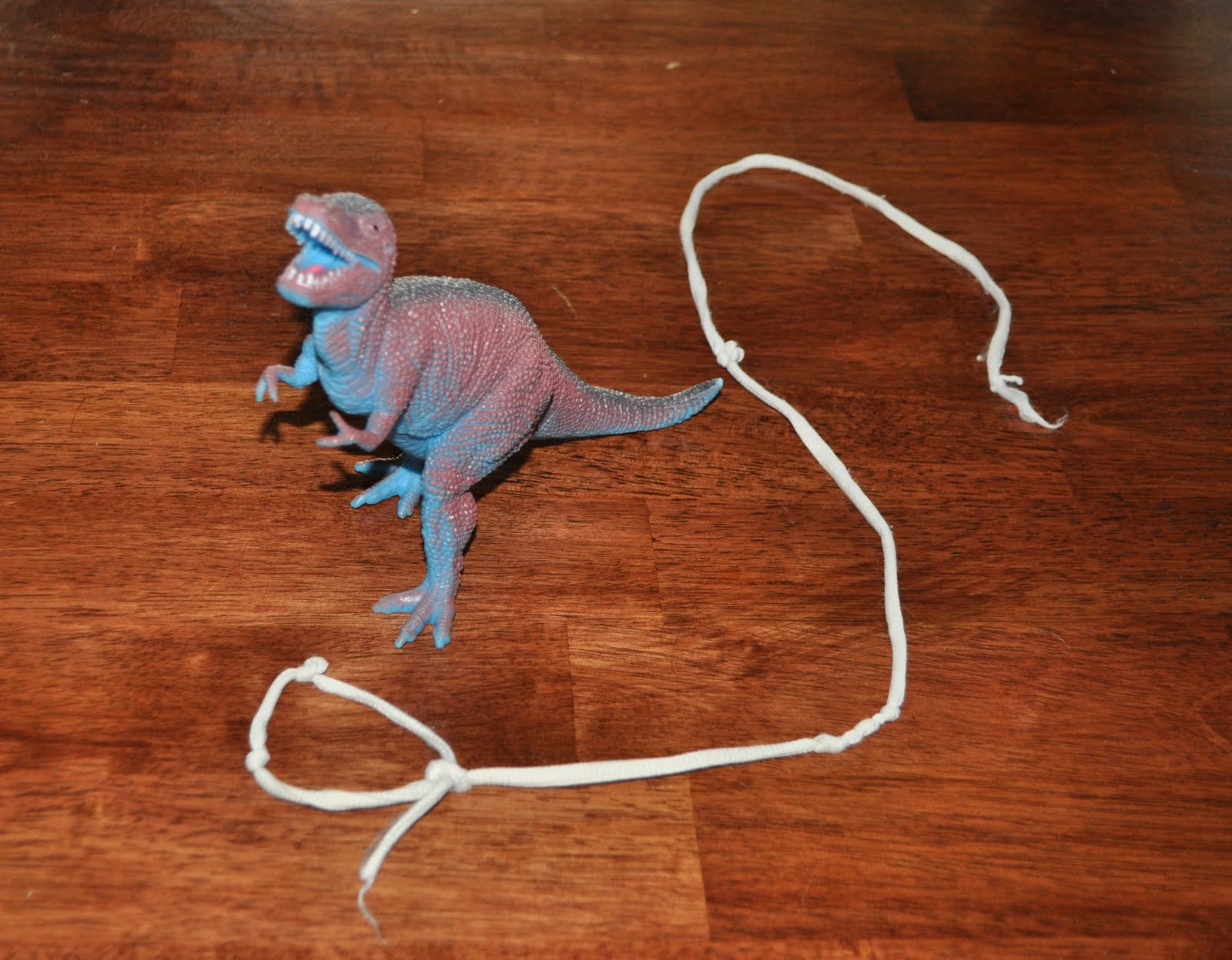 Dinosaur Shoelaces