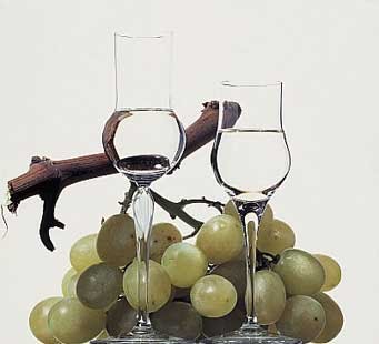 [grappa.bmp]