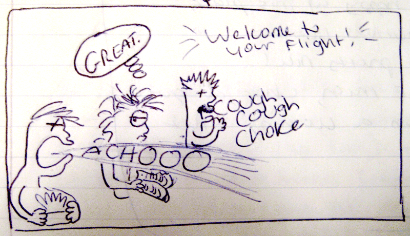 [flight.gif]