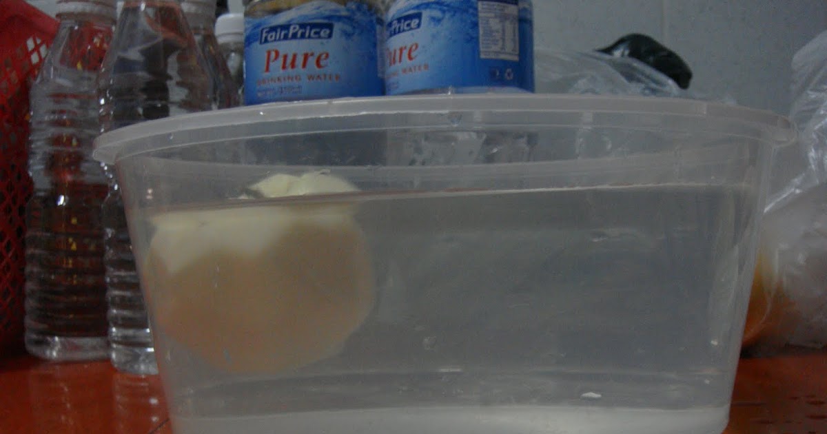 Beverly's Science Bay Fruits Float Experiment