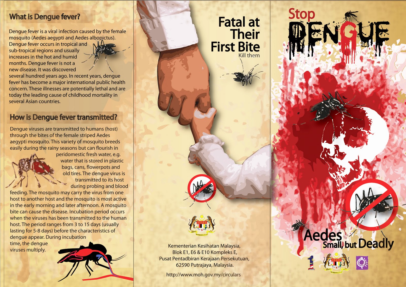 Back Page Design