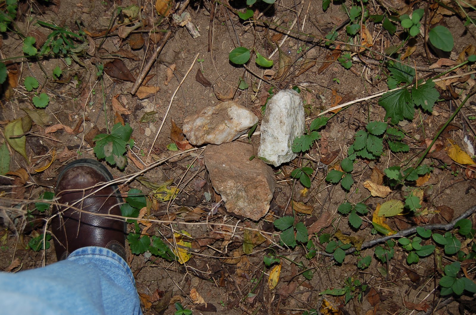 Rockhounding Adventures! Gold Mine Road Montgomery County Maryland