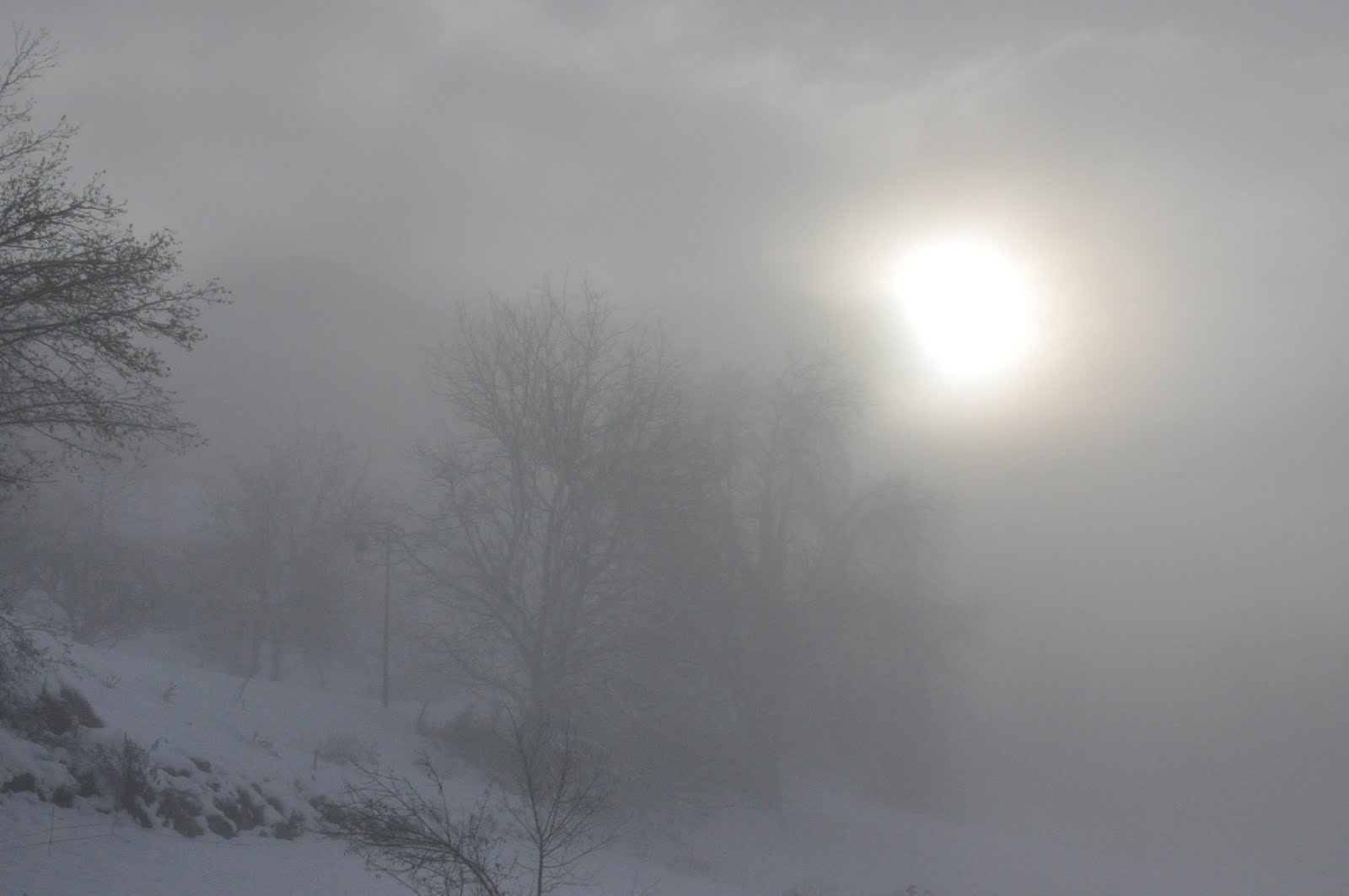 [DSC_0013.JPG]