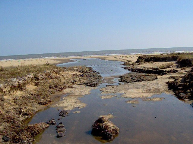 [beach+erosioin.jpg]