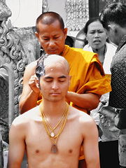[180px-Monk_shaves_off_the_head_gives.jpg]