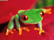 http://3.bp.blogspot.com/_-csfp7eZJ2w/SMJF2idgotI/AAAAAAAAAF0/36Wd7RPP_Nc/S220/Red-eyed+Tree+Frog.jpg