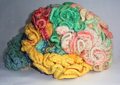 http://3.bp.blogspot.com/_-dYEI8ndP5Y/R1SJhrAKHkI/AAAAAAAABf8/DVT1WweRJ6E/s1600-R/knitted+brain+2.bmp