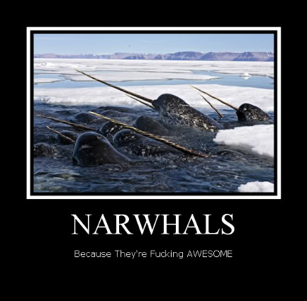 This one is Natty Narwhal.