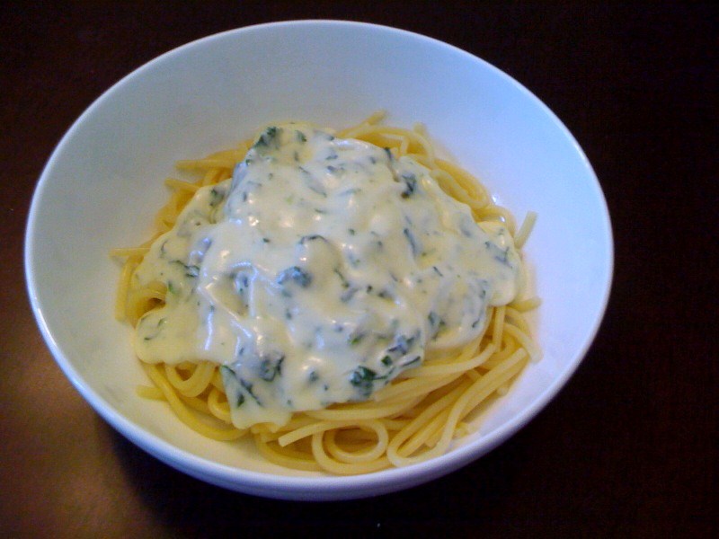 The Persnickety Picnic Spinach Alfredo Pasta