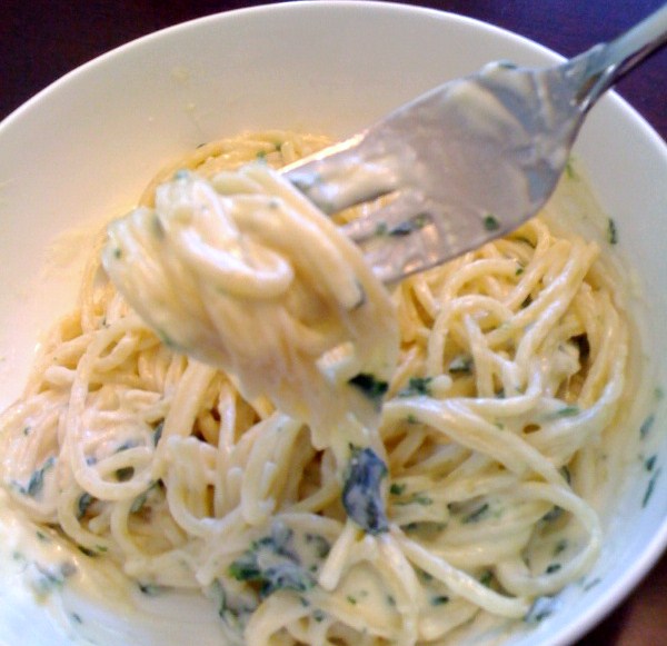 The Persnickety Picnic Spinach Alfredo Pasta