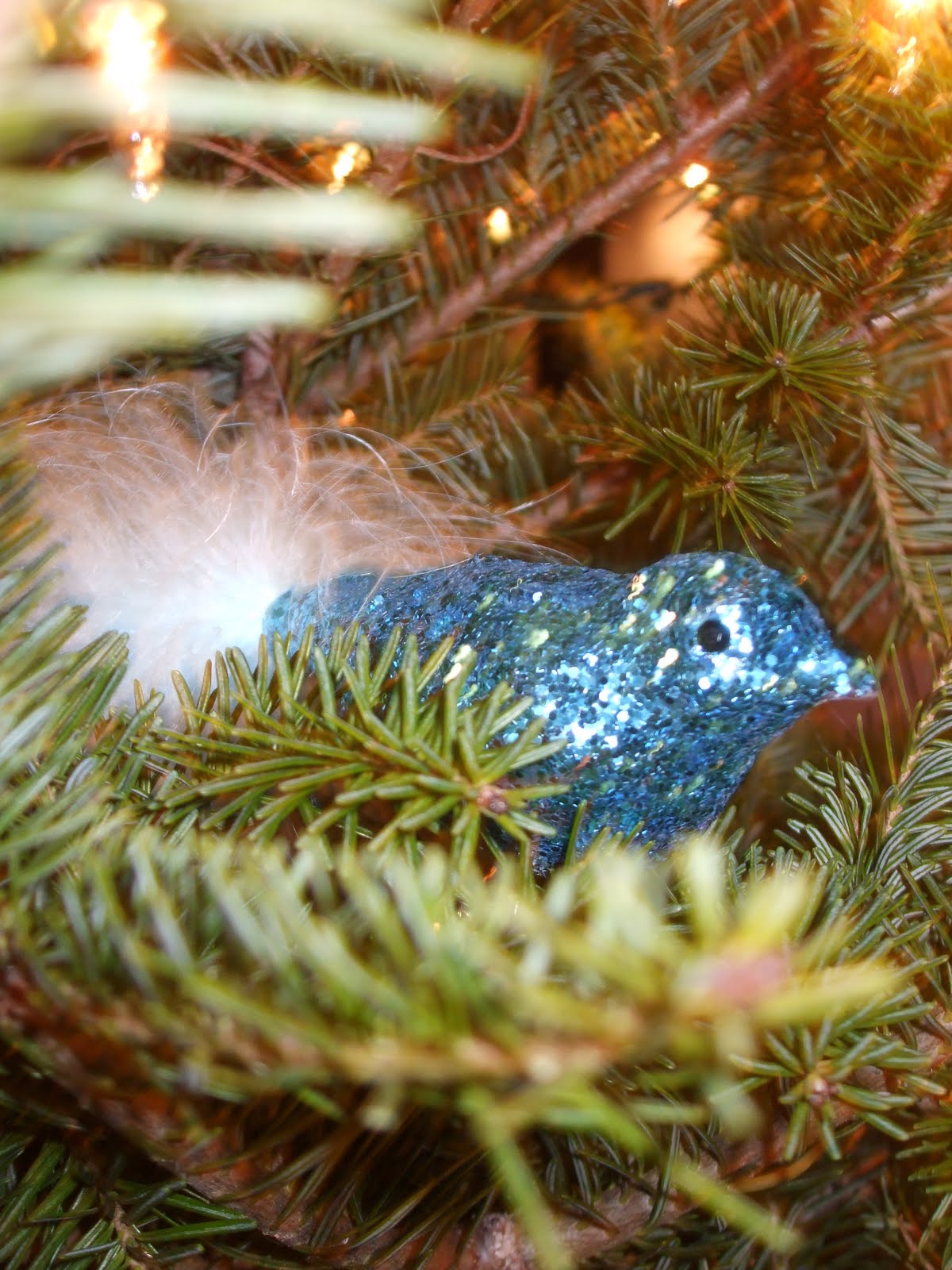 [my+tree+2009+015.JPG]