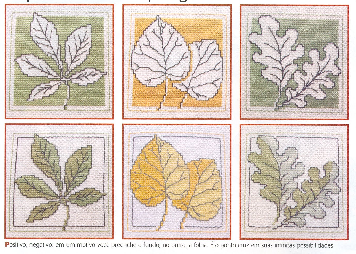 131 - Veronique Enginger LHerbier du jardin au point d