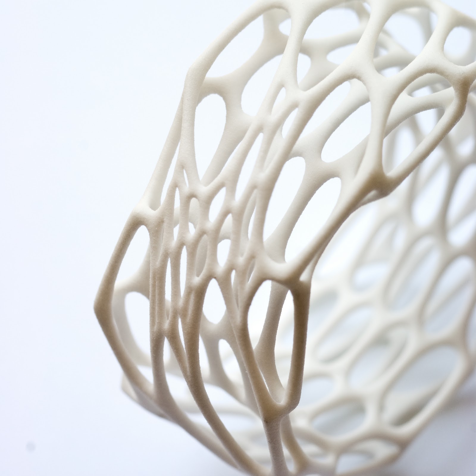 [nervous cell ring.jpg]