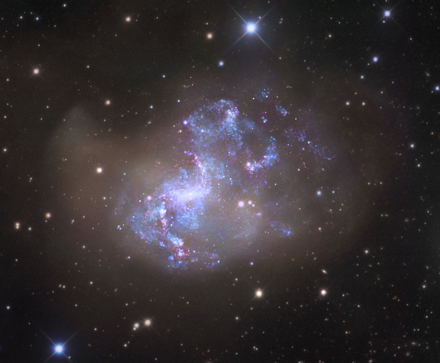 Ngc 1313