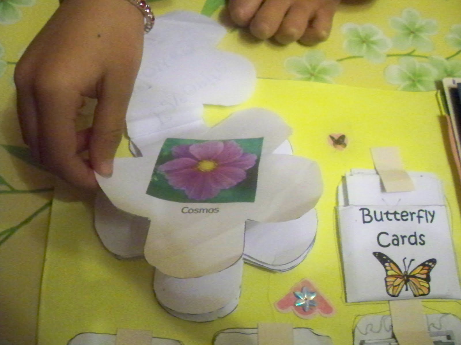 About half a dozen Butterfly Lapbook by R