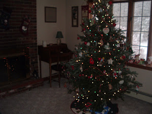 Our first Christmas Tree in our New Home
