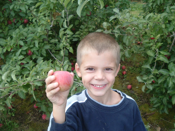 Buddy's First Day Picking Apples
