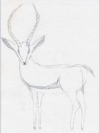 [gazelle-drawing.jpg]
