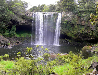 Rainbow Falls Kerikeri