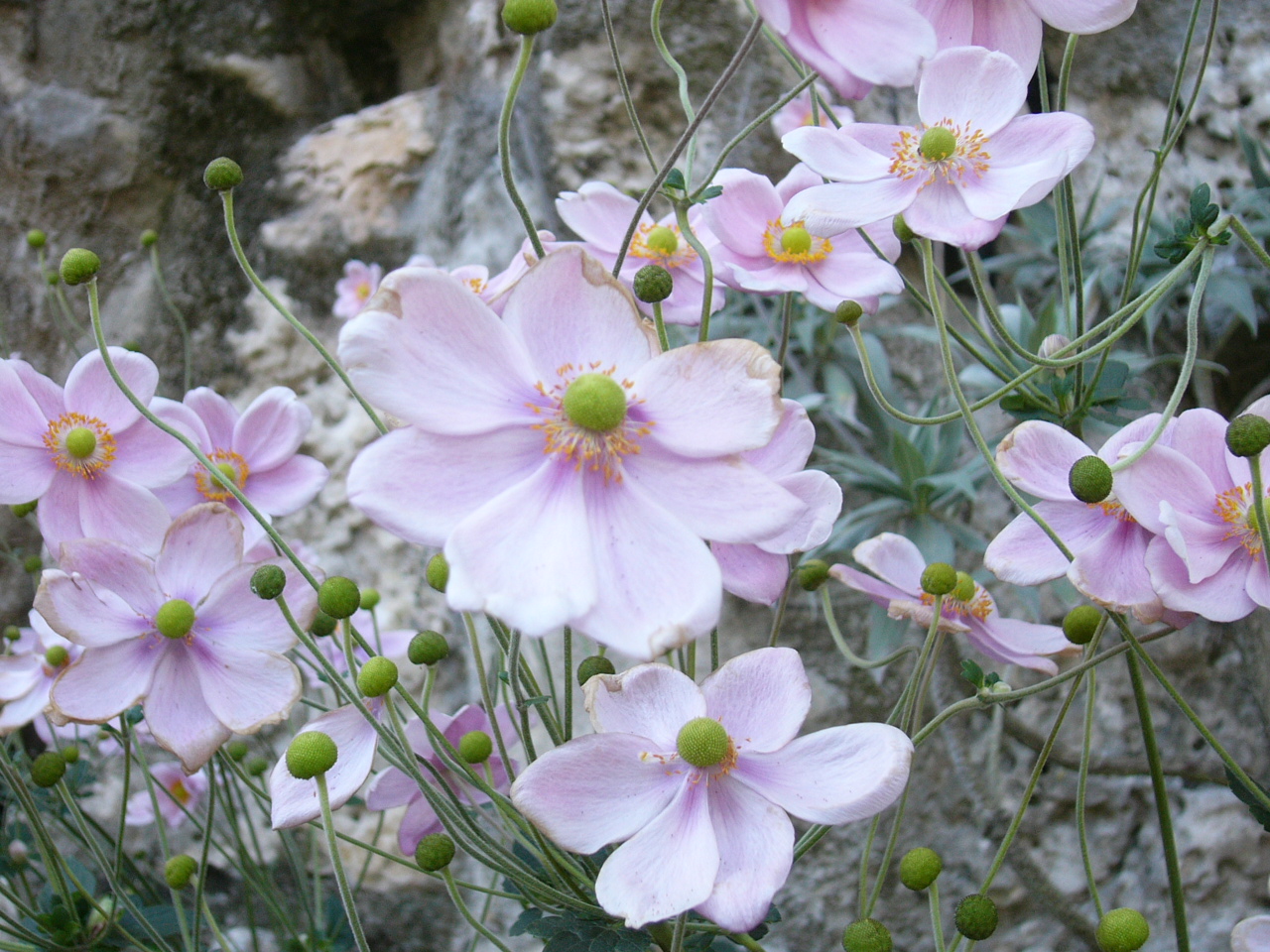 [P1060470.JPG]