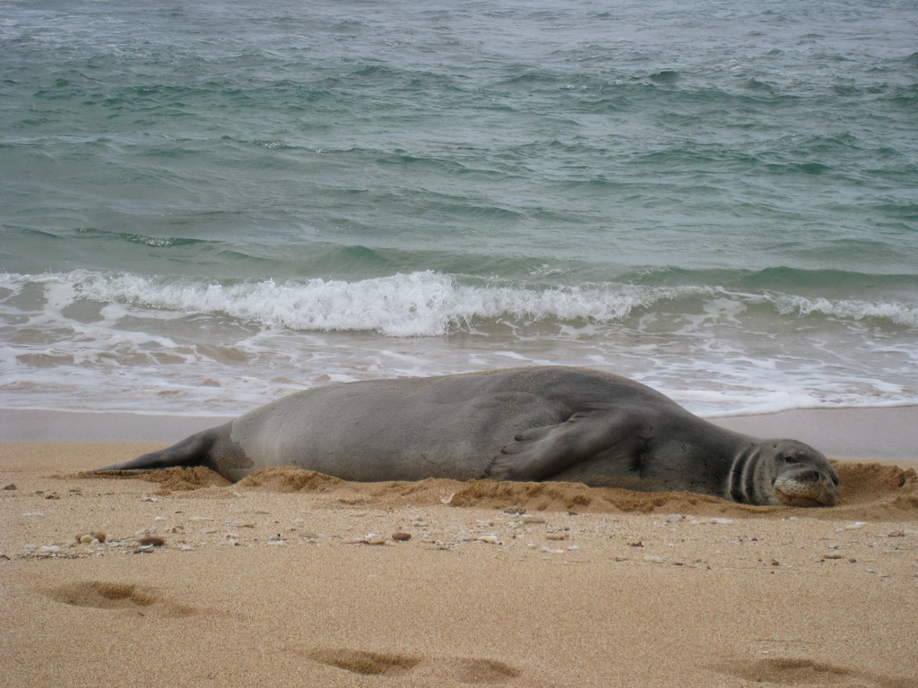 [2009-08-20+12-09-56.JPG]