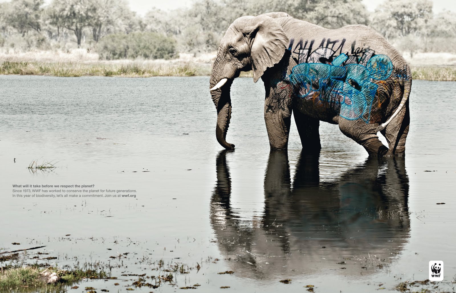 crcw: wwf - elephant